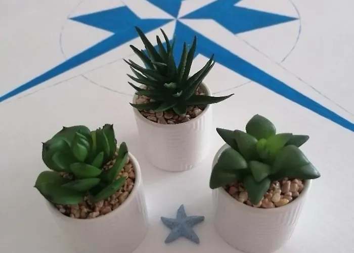 Noks Sp Apartments-elenite